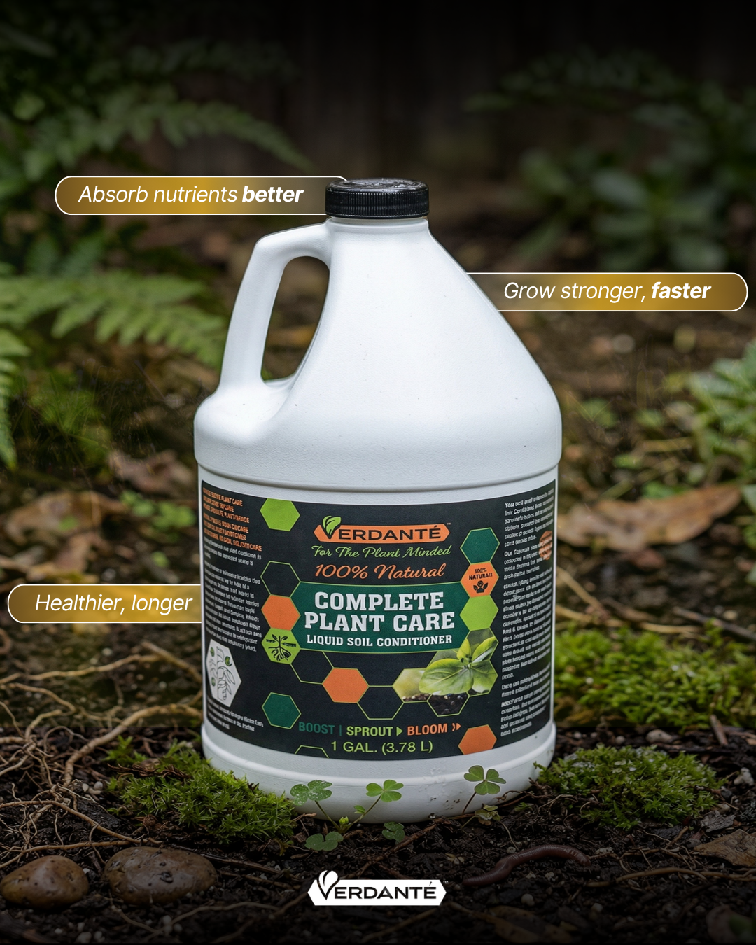 Verdanté™ Complete Plant Care - Indoor Plants