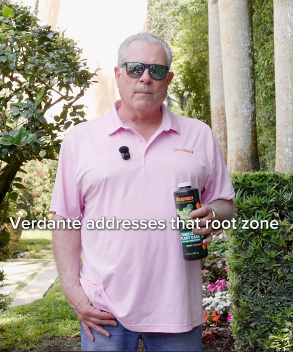 Address the root zone