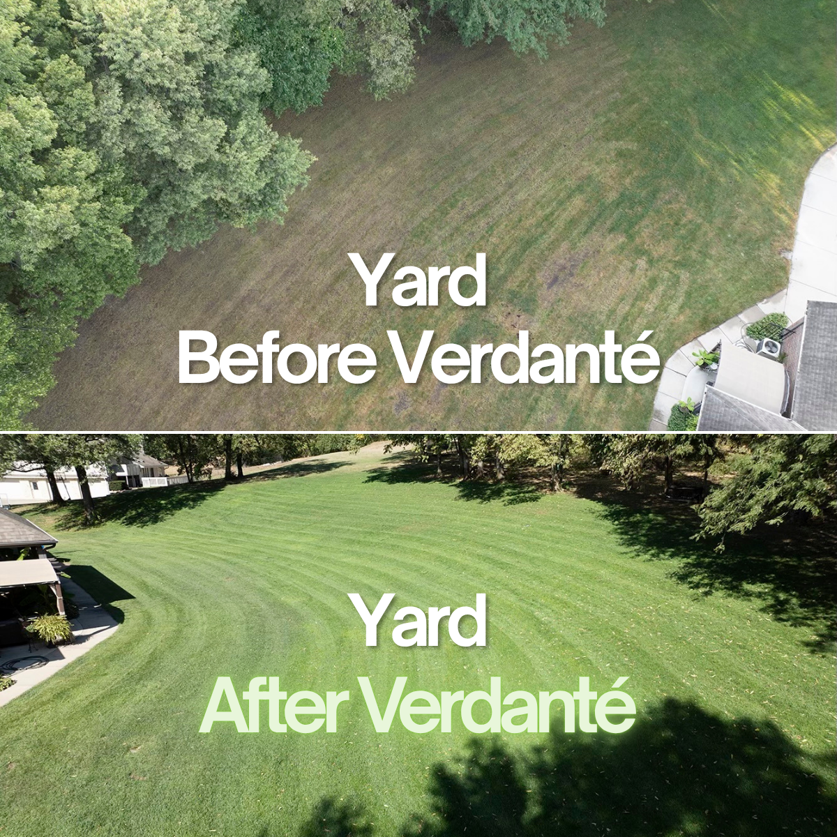 Verdanté™ Complete Plant Care