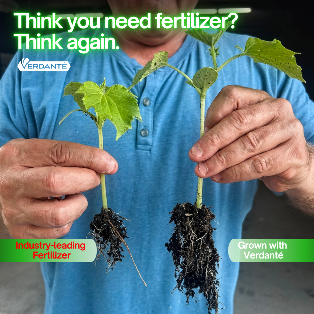 Verdanté™ Complete Plant Care