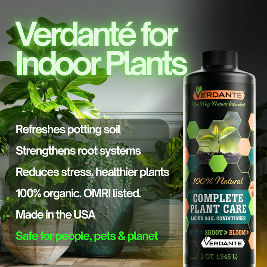 Verdanté™ Complete Plant Care - Indoor Plants